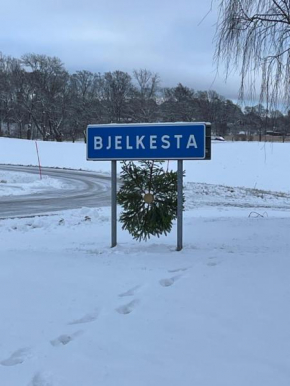 Bjelkesta